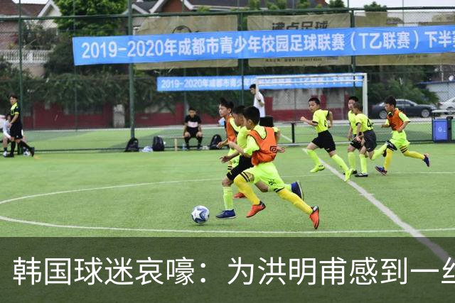 韩国球迷哀嚎：为洪明甫感到一丝惋惜？